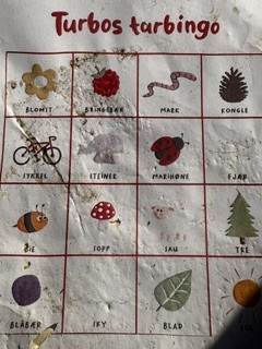 Naturbingo